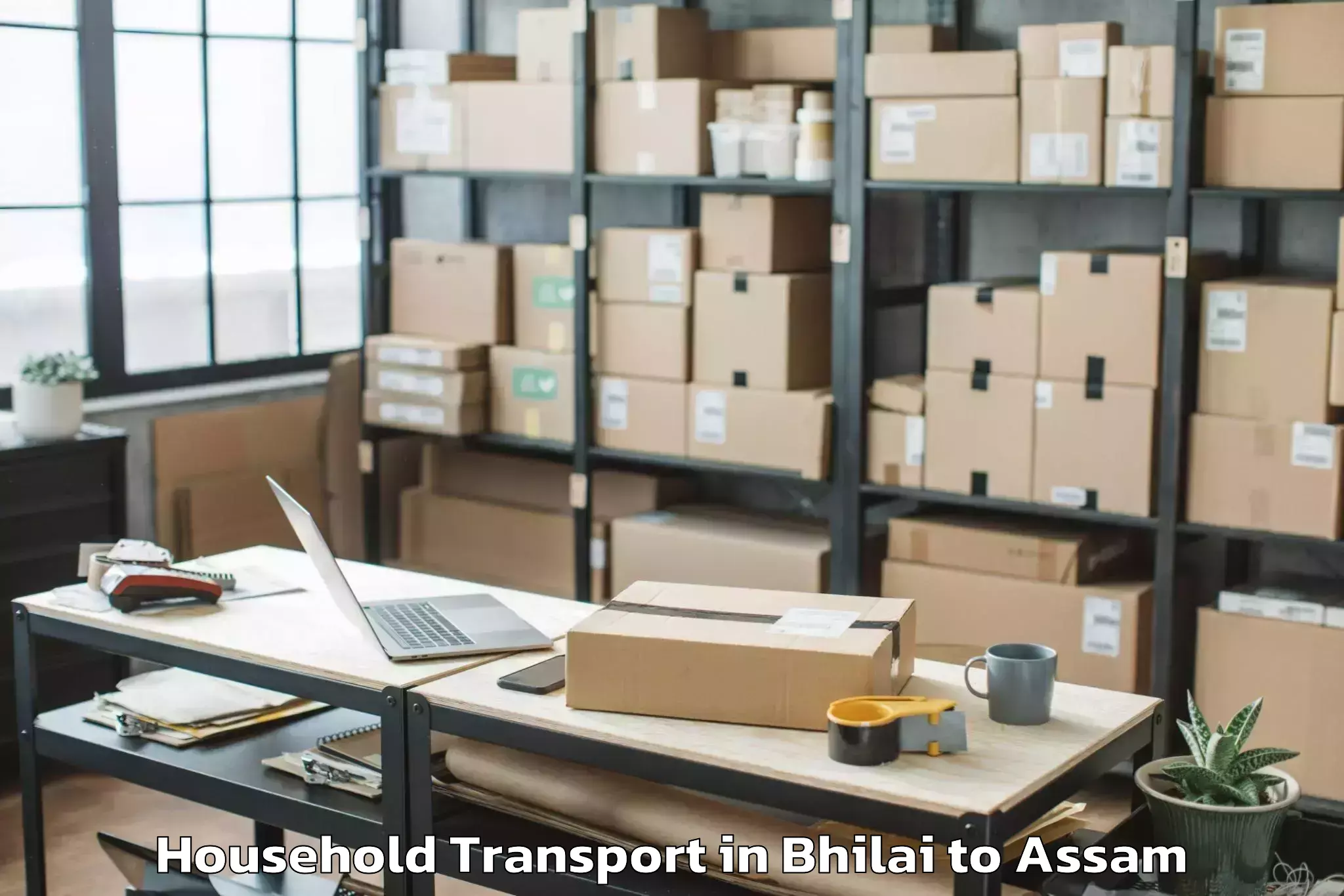 Hassle-Free Bhilai to Kalgachia Household Transport